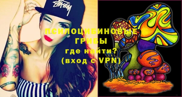 тгк Бронницы