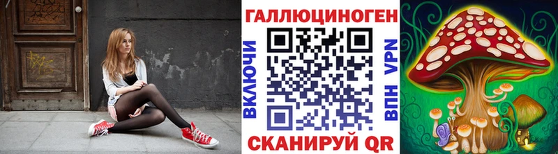 Галлюциногенные грибы Psilocybe Новое Девяткино